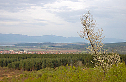 Бальнеологични курорти на България