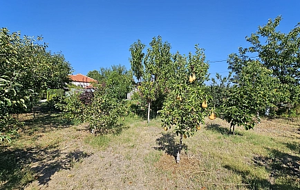 ID 11219 Дома в Винарско Снимки 5