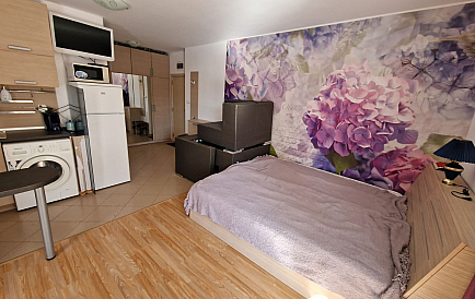 ID 11259 Квартира-студия в Гранд Камелия Снимки 1 