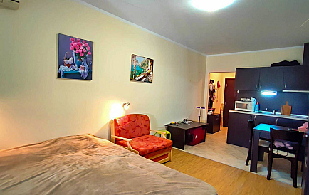 ID 12974 <div>Апартамент-студио в Созопол Стайл</div> Снимки 1 