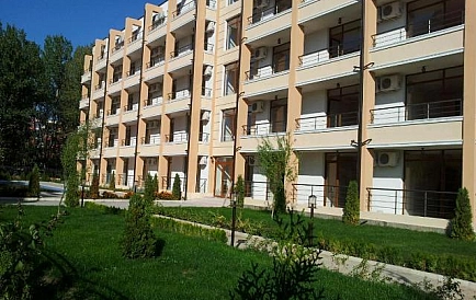 ID 807 Света Елена Снимки 5